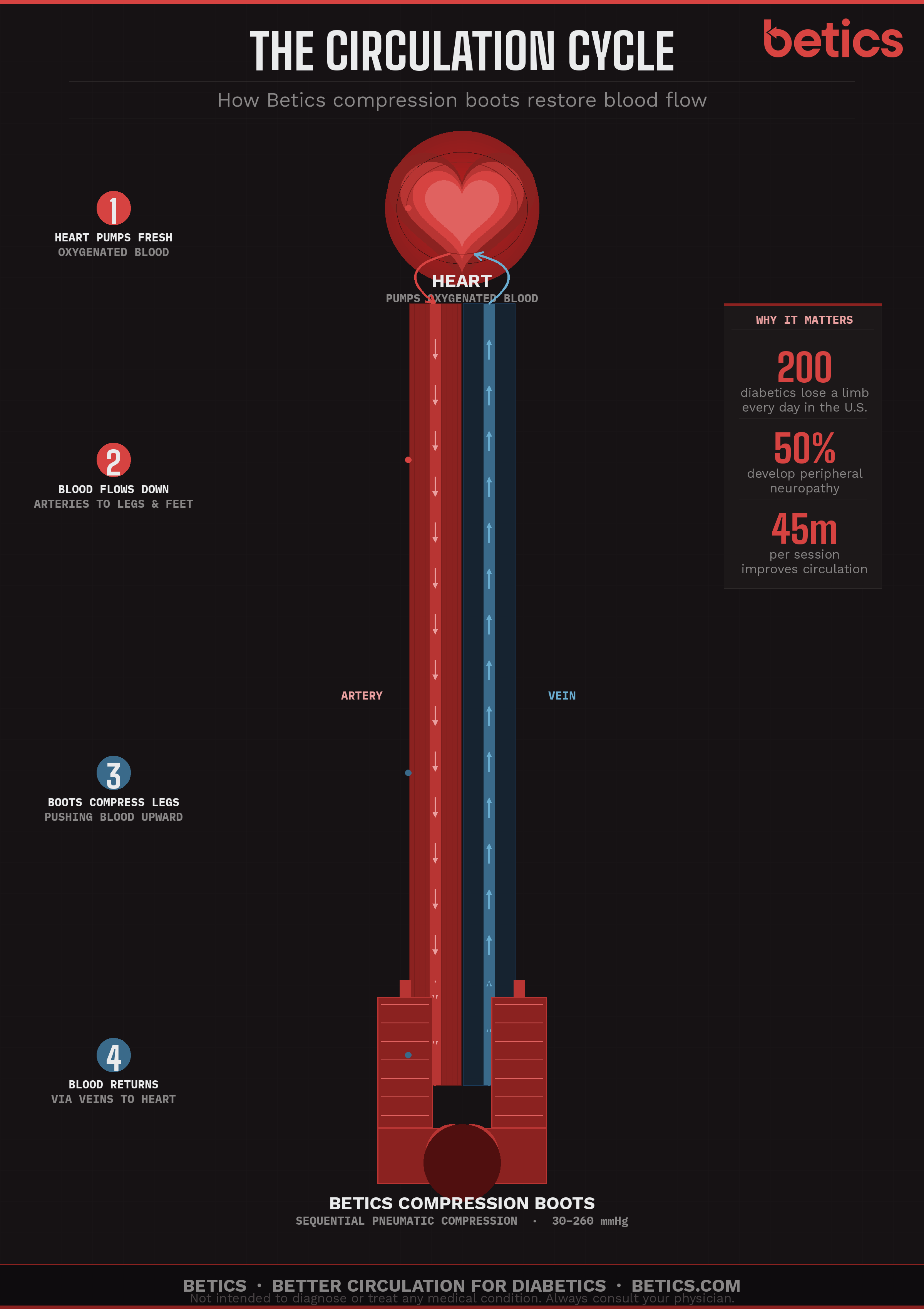 BETICS blood circulation infographic showing blood moving down the arteries, sequential boot compression, and blood returning through the veins